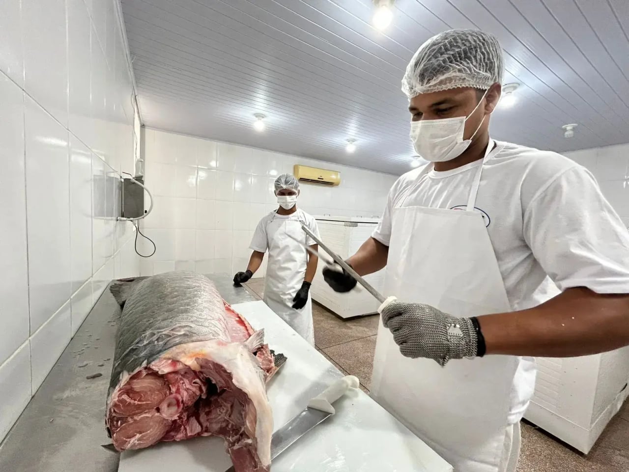 Regularização do SIM impulsiona agroindústrias de Porto Velho