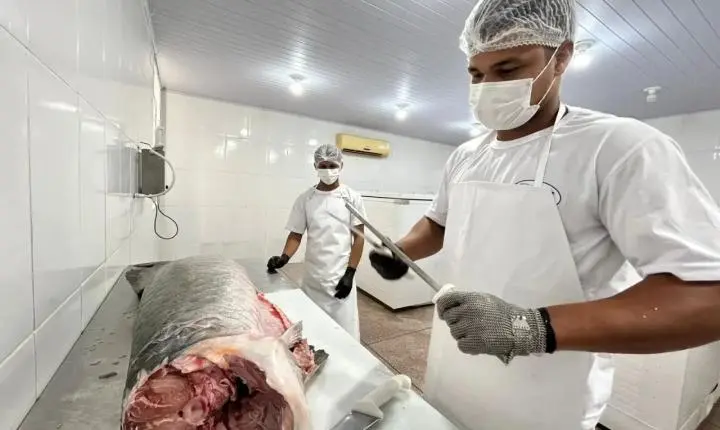 Regularização do SIM impulsiona agroindústrias de Porto Velho